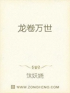 《龙卷万世》小说封面