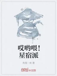《哎哟喂！星宿派》小说封面