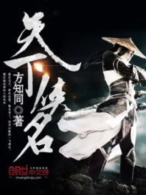 《天下侠名》小说封面