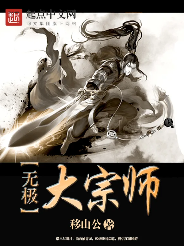 《无极大宗师》小说封面