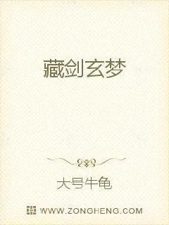 《藏剑玄梦》小说封面