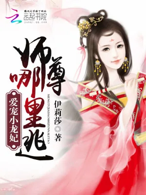 《爱宠小龙妃:师尊,哪里逃》小说封面