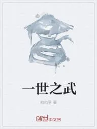 《一世之武》小说封面