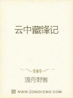 《云中藏锋记》小说封面