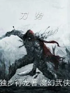 《刀势》小说封面