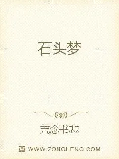 《石头梦》小说封面