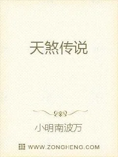 《天煞传说》小说封面