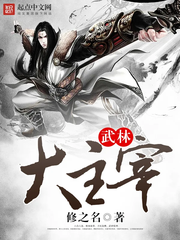 《武林大主宰》小说封面