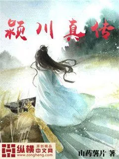 《颍川真传》小说封面