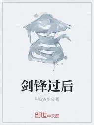 《剑锋过后》小说封面