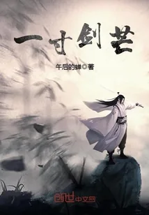 《一寸剑芒》小说封面