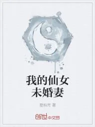 《我的仙女未婚妻》小说封面