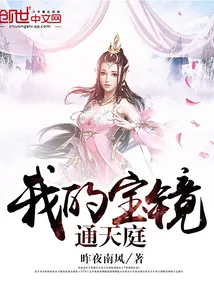 《我的宝镜通天庭》小说封面