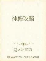 《神殿攻略》小说封面