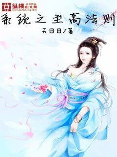 《至高法则系统》小说封面