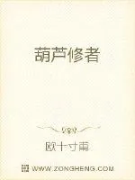 《葫芦修者》小说封面