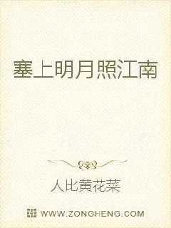 《波澜起》小说封面