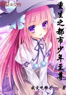 《重生之都市少年至尊》小说封面