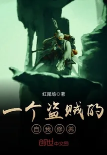 《一个盗贼的自我修养》小说封面