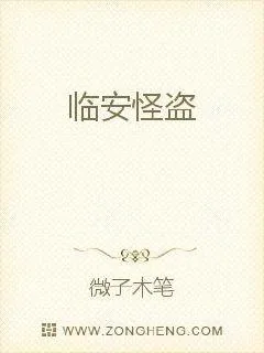 《临安怪盗》小说封面