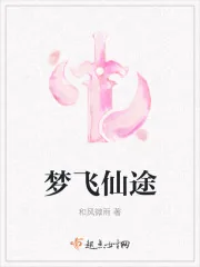 《梦飞仙途》小说封面