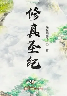 《修真圣纪》小说封面