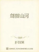 《剑指山河》小说封面