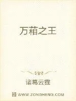 《万葙之王》小说封面