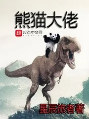 《熊猫大佬》小说封面
