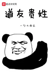 《道友贵姓》小说封面