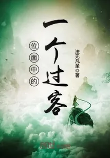 《位面中的一个过客》小说封面