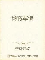《杨将军传》小说封面