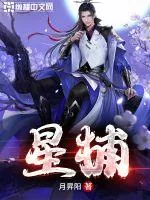 《星捕》小说封面