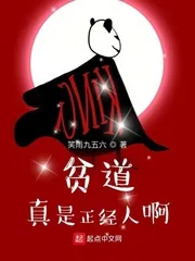 《贫道真是正经人啊》小说封面