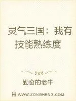 《灵气三国：我有技能熟练度》小说封面