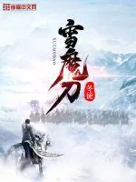 《雪魔刀》小说封面