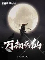 《万劫成仙》小说封面