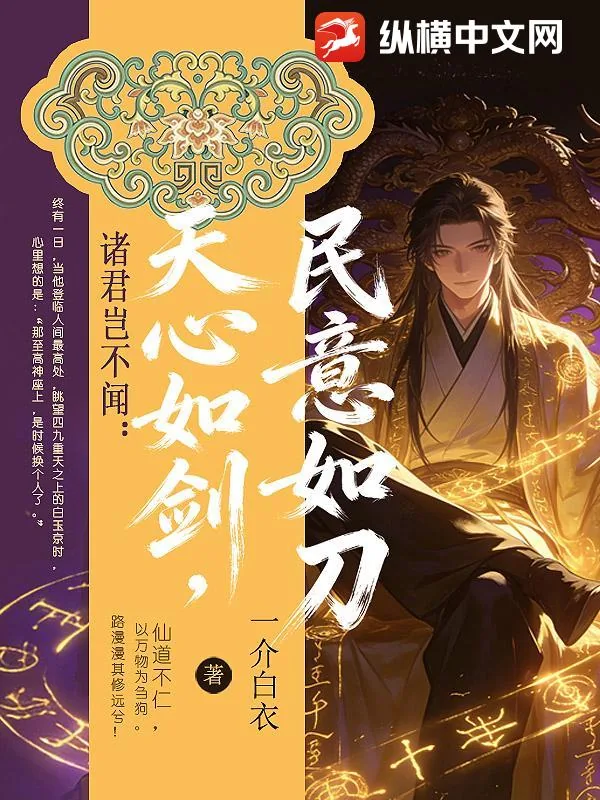 《诸君岂不闻：天心如剑，民意如刀？》小说封面