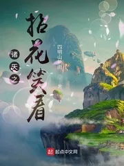 《诸天之拈花笑看》小说封面