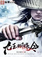 《九玉蝴蝶令》小说封面