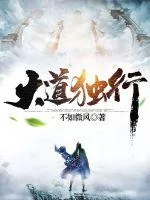《大道独行》小说封面