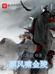 《燕风啸金陵》小说封面