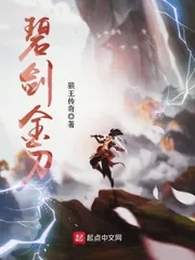 《碧剑金刀》小说封面