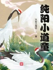 《纯阳小道童》小说封面