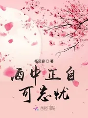 《酒中正自可忘忧》小说封面
