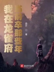 《我在龙雀府当前卒那些年》小说封面