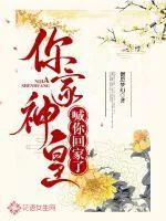 《你家神皇喊你回家了》小说封面