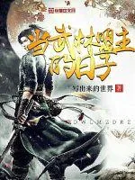 《当武林盟主的日子》小说封面