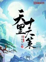 《天罡十六策》小说封面