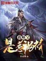 《我师父是惹祸精》小说封面